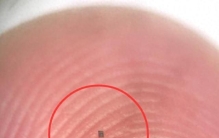 全球最小全自主编程机器人小如盐粒，可连续运行数月，成本仅1美分