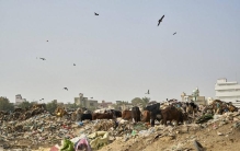 全球污染排行榜出炉！印度竟未进前二，第一名生存现状触目惊心