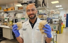 蝌学最前沿丨羊毛、酵母和尿液被派上用场，新技术让补牙走向“生物恢复”