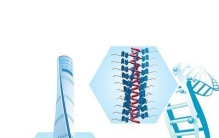 “造小”的艺术，用分子构筑新材料（国际科技前沿）