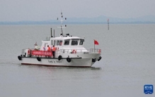 蝌学最前沿丨“氨” 能可贵！这就是零碳燃料界的“潜力股”