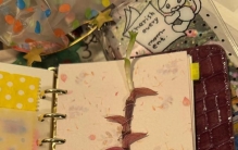 辽宁一女子，晒“全网最牛植物”走红，网友：是想卷上天？