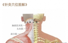 风池配合谷，堪称人体“万金油”！头痛感冒、眼酸颈僵，一按就灵