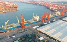 昼夜吞吐量52698吨刷新世界纪录！山东港口青岛港：全球最大纸浆进口港再展“中国效率”