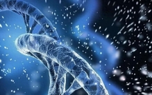 美国一男子自称有全球最小阴茎，长度不到2.5厘米，属于罕见病