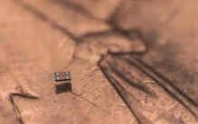 比盐粒还小，科学家研发出世界上最小的自主机器人