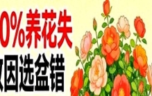 别再委屈你的花！这6种植物，盆越大越疯长！