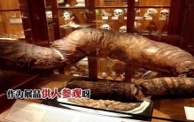 世界上最长的粑粑，长到被收藏在博物馆。