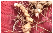 世界上最可怕的是什么呢？你知道吗？