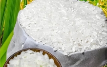 中国南北各地最好吃的“十大名米”，你吃过几种？哪种最好吃？