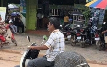 20张奇怪的生物照：黄蜂把死去同伴叠在背上，狒狒绑架走小狮子