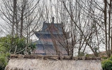 属鼠人看似胆小，实则最有商业头脑！这3点优势，别人学不来!