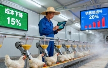 2025中国科技高光时刻：从民生温度到宇宙探索的全面爆发