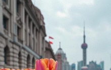 上海到底骗了多少人 居然拥有 10 个世界之最