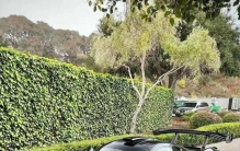 榜首7亿！全球十大神车曝光，百年工艺铸就天价传奇