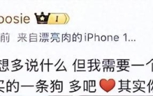 网红司晓迪爆料多名男明星后，一素人莫名遭殃！回应：希望她道歉，“我不应该跪着承受这种事情”