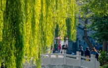 山东济南，到底骗了多少人？居然拥有 10 个 “世界之最”！