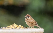 甘肃兰州，到底骗了多少人？居然拥有 5 个 “世界之最”！