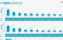 2025年12月汽车前十销量榜 特斯拉中国进前十 鸿蒙智行成“黑马”