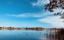 浙江杭州，到底骗了多少人？居然拥有 5 个 “世界之最”！