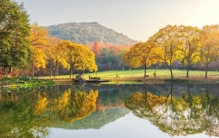 河北石家庄，到底骗了多少人？居然拥有 10 个 “世界之最”！