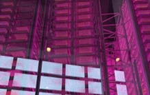 实探相当于7层楼的全球最高“植物工厂”：育种加速器核心源头竟藏在这座城市