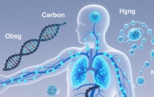 元素之最‌：人体内含量最多的元素是氧，其次是碳、氢、氮。