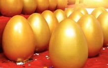 年会抽奖真有“黑幕”？明星领奖背后隐藏的秘密你知道吗！