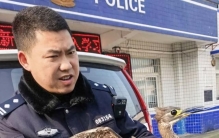 “世界上最神秘的鸟”在内江威远成功获救！全球仅有约1000只