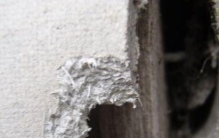 蝌学零距离丨它曾是建筑界的白月光，如今已跌落神坛……