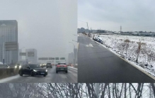 品牌不可或缺车型Top20