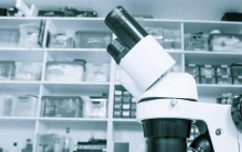 世界上持续时间最长的实验室实验已有近百年历史