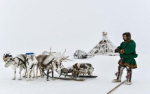 列国鉴丨记者观察：发力打造北极航道 俄罗斯北极开发要提速