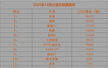 小型车卖火了！ 25年12月销量榜 5款销量过万 极狐T1第三