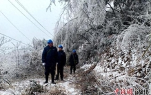 湖北崇阳：踏雪巡山守供水 清障护线保电力