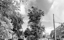 海平面下的城市智慧：缓解“大城市病”，鹿特丹做对了什么？