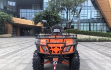 2025年十大沙滩车排名！这款性价比之王让人直呼意外