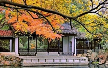 江苏无锡，到底骗了多少人？居然拥有 5 个 “世界之最”！