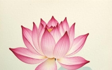 人类8大快感排行榜：第一名你肯定想不到！