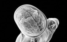 两院院士评出2025世界十大科技进展：脑机接口、黑洞合并等入选