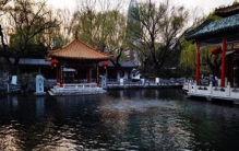 山东济南，到底骗了多少人？居然拥有 5 个 “世界之最”！