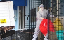 尼帕病毒疫情来袭，致死率最高75%，世卫：美国退群让世界不安全