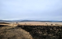 588万平方公里！沙俄抢走的中国故土，如今竟成为了世界最大荒原