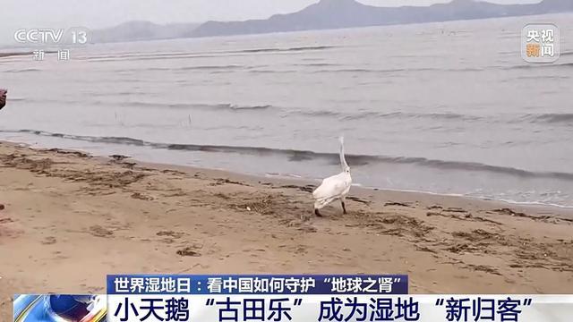 科技赋能 看中国如何守护“地球之肾”