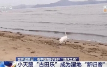 科技赋能 看中国如何守护“地球之肾”