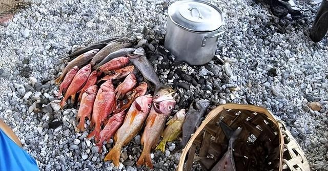 全球公认最懒的国家，每天只会吃饭和睡觉，生活全靠别人供养