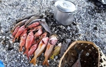 全球公认最懒的国家，每天只会吃饭和睡觉，生活全靠别人供养