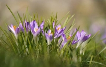 以舍为得：地皮商人的顶级商业智慧