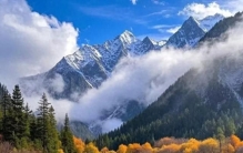 中国十大AAAAA景点，去过4个合格，去过8个了不起！！