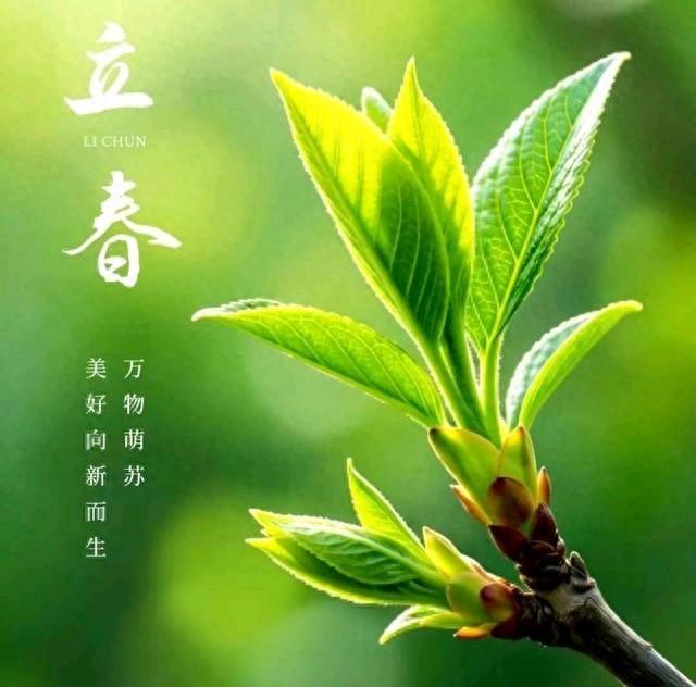 ​散文 立春快乐！春到人间，草木花香，一年之计在于春，珍惜好时光
